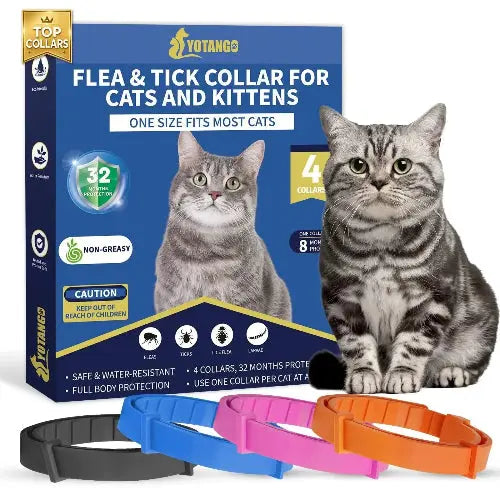 4 Pack Flea Collar for Cats YK by YOTANGO