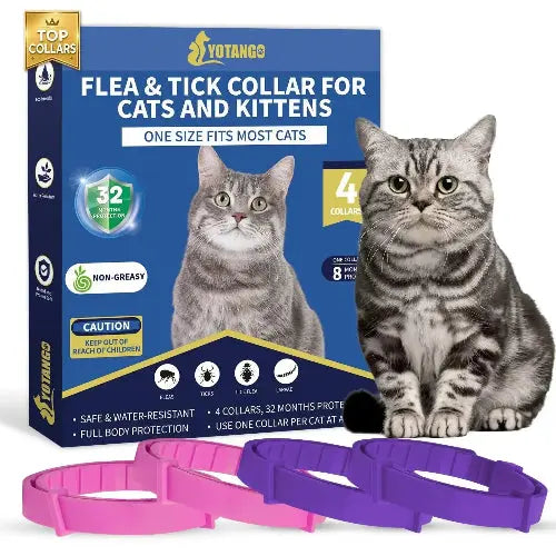 4 Pack Flea Collar for Cats YK by YOTANGO