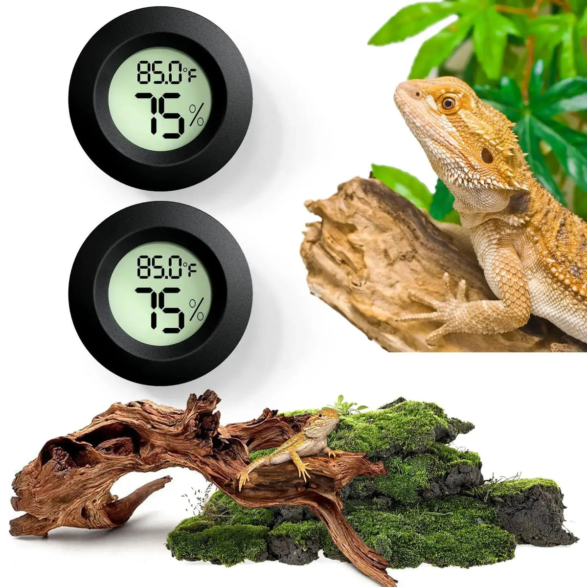 Vodolo Reptile Thermometer and Humidity Gauge,Digital Adhesive Reptile Hydrometer Thermomete Tank Accessories,Reptile Terrarium Thermomete Pet Supplies for Snake,Bearded by Vodolo