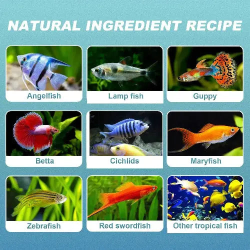 capuca Aquarium Fish-Parent Fish Food Flakes and Blood Worms by capuca