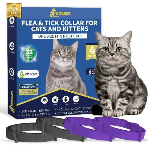 4 Pack Flea Collar for Cats YK by YOTANGO