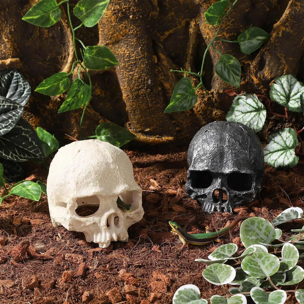 TkoYuHm Resin Reptile Hideout for Tank Realistic Skull Decor for Terrarium White Decorative Skeleton Head Hides and Caves for Fish Ball Python Axolotl Tarantula by TkoYuHm