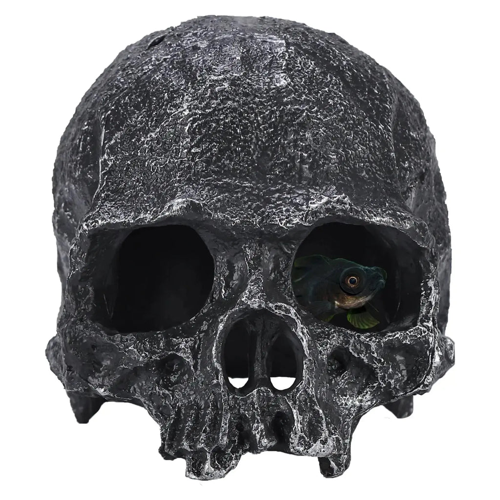 TkoYuHm Resin Reptile Hideout for Tank Realistic Skull Decor for Terrarium White Decorative Skeleton Head Hides and Caves for Fish Ball Python Axolotl Tarantula by TkoYuHm
