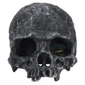 TkoYuHm Resin Reptile Hideout for Tank Realistic Skull Decor for Terrarium White Decorative Skeleton Head Hides and Caves for Fish Ball Python Axolotl Tarantula by TkoYuHm