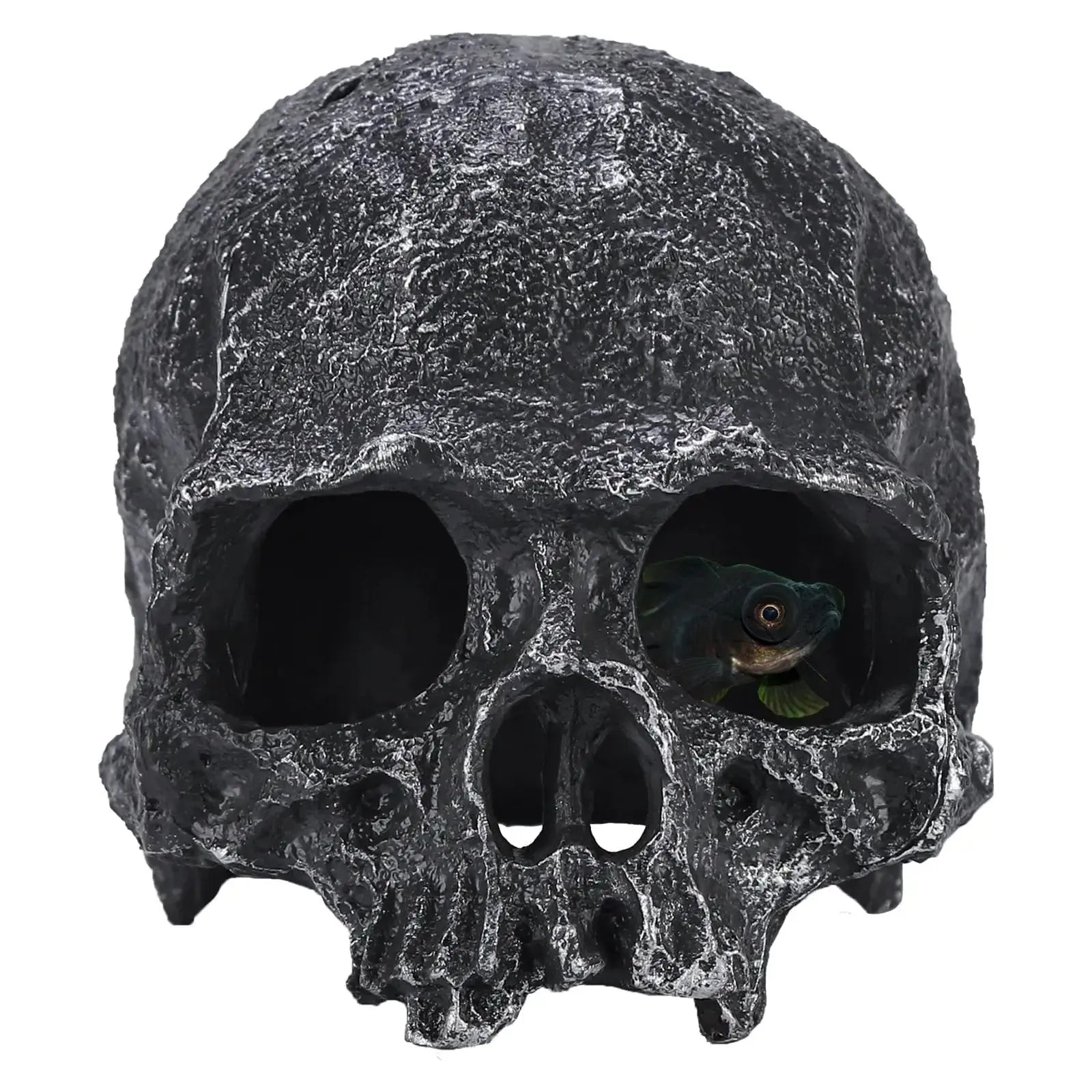 TkoYuHm Resin Reptile Hideout for Tank Realistic Skull Decor for Terrarium White Decorative Skeleton Head Hides and Caves for Fish Ball Python Axolotl Tarantula by TkoYuHm