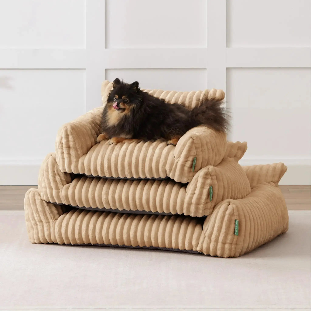 FWERDG Cute Couch Bed for Pets, Supportive Cat Sofa for Indoor Cats, Dog Sofa Bed for Dogs by FWERDG