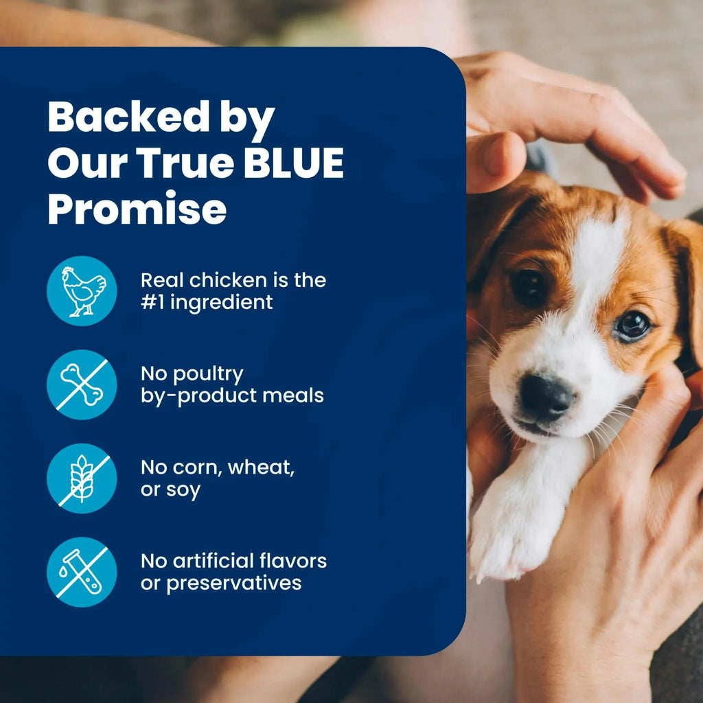 Blue Buffalo Life Protection Formula Small Dry Bag Dog Puppy Cognitive Development