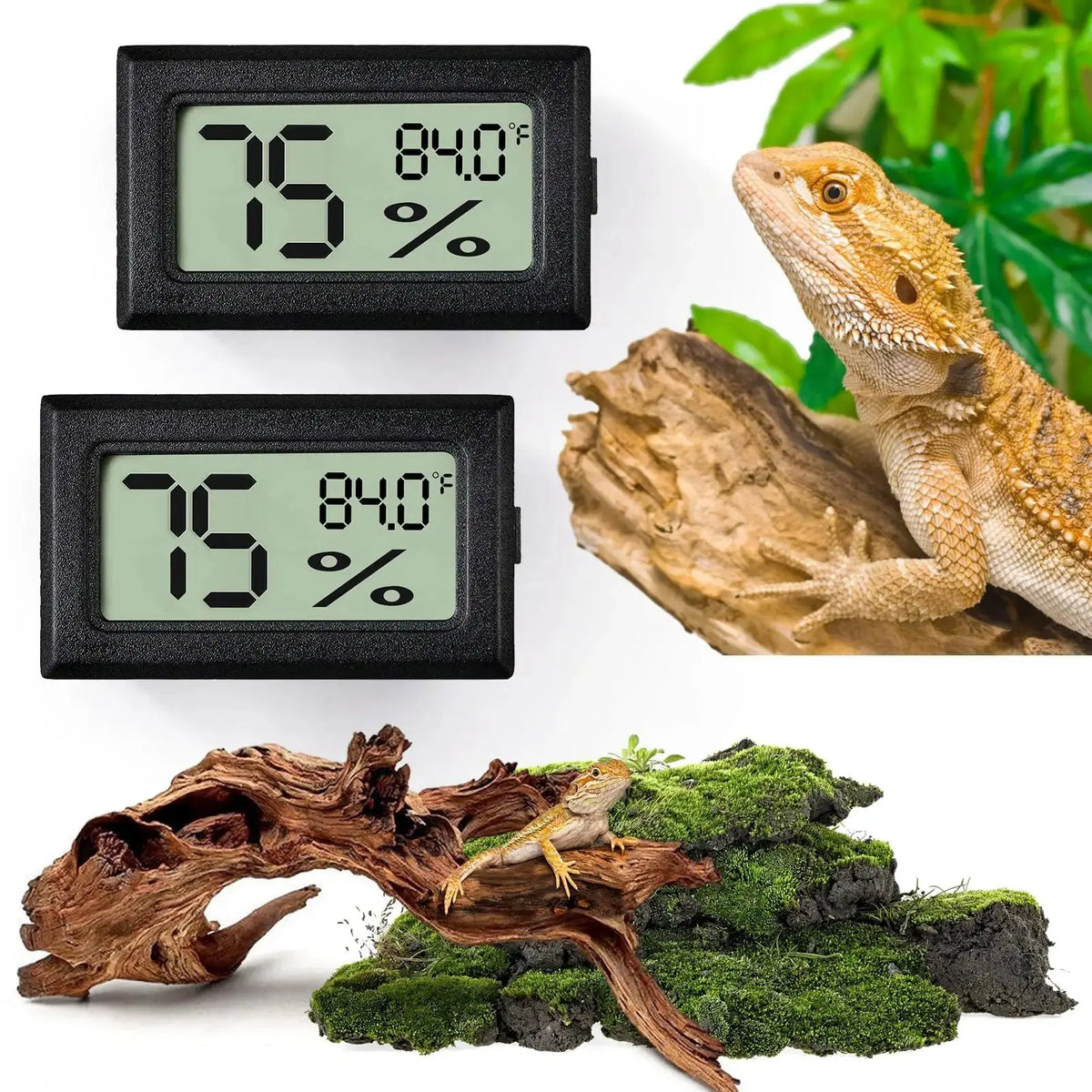 Vodolo Reptile Thermometer and Humidity Gauge,Digital Adhesive Reptile Hydrometer Thermomete Tank Accessories,Reptile Terrarium Thermomete Pet Supplies for Snake,Bearded by Vodolo