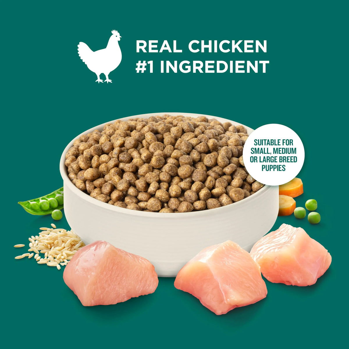 Nutrish Rachael Ray Puppy Dry Dog Food - FurrBaby Necessities