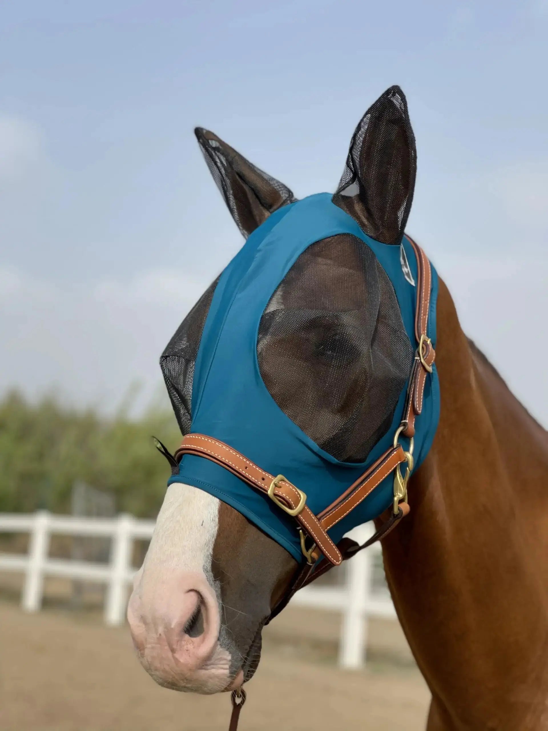Horse Fly Mask Super Comfort Horse Fly Mask Elasticity Fly Mask with Ears We Only Make Products that Horses Like… by TGW RIDING