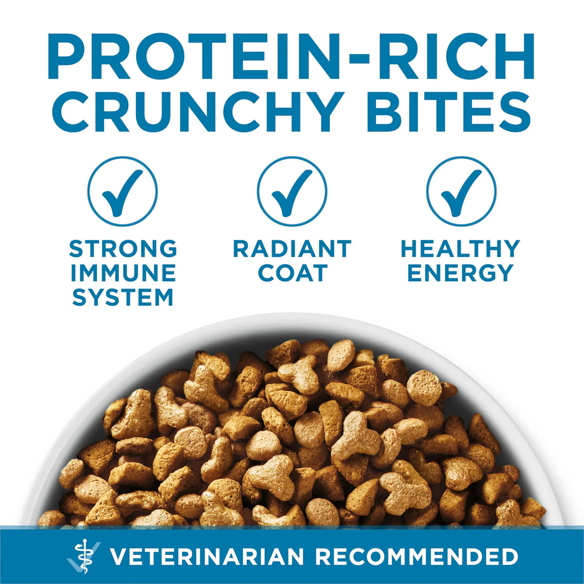 Purina ONE High Protein, Natural Senior Dry Cat Food, Indoor Advantage Senior+ - 16 lb. Bag Purina ONE