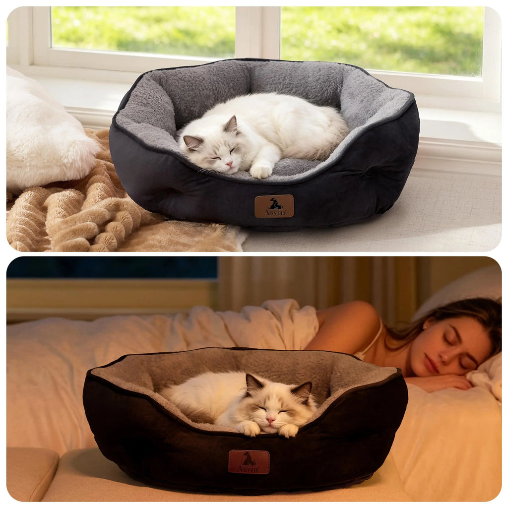 Asvin Dog Bed, Cat Beds for Indoor Cats, Pet Bed for Puppy and Kitty, Extra Soft & Machine Washable with Anti-Slip & Water-Resistant Oxford Bottom by Asvin