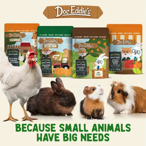 DOC EDDIE'S Digestive Bites - Plant-Based Small Animal Treats for Rabbits, Guinea Pigs, Hamsters, Gerbils, and More - Probiotics Supplement Made with Timothy Hay, Real Fruits, and Veggies by DOC EDDIE'S