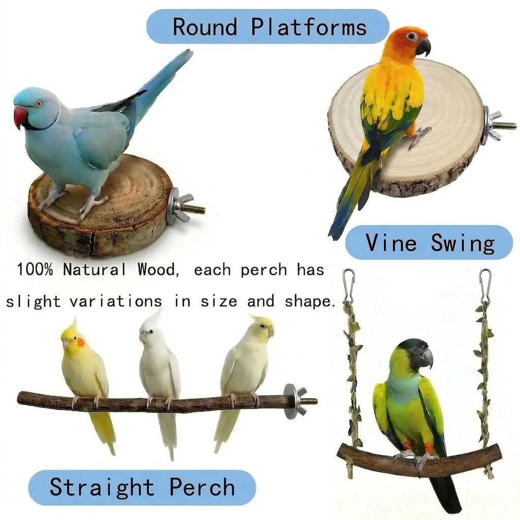 Acvxghe 8PCS Bird Perches for Cage, Natural Wood Stands for Small Parrots by Acvxghe