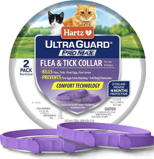 Hartz UltraGuard Flea & Tick Collar for Cats I 14 Months Protection by Hartz