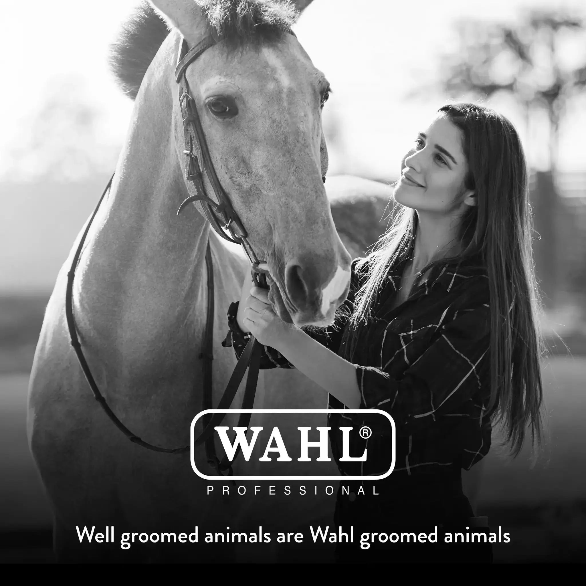 WAHL Professional Animal Equine Grooming Mitt - Flexible Rubber Brush for Horse Care by Wahl