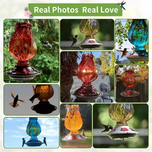 BOLITE Twisted Series Hand Blown Glass Hummingbird Feeders by BOLITE