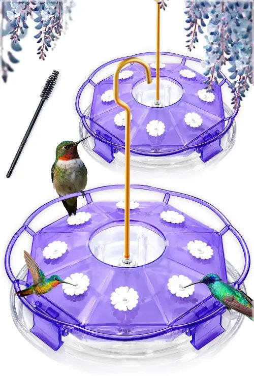 Hummingbird Feeder by eWonLife