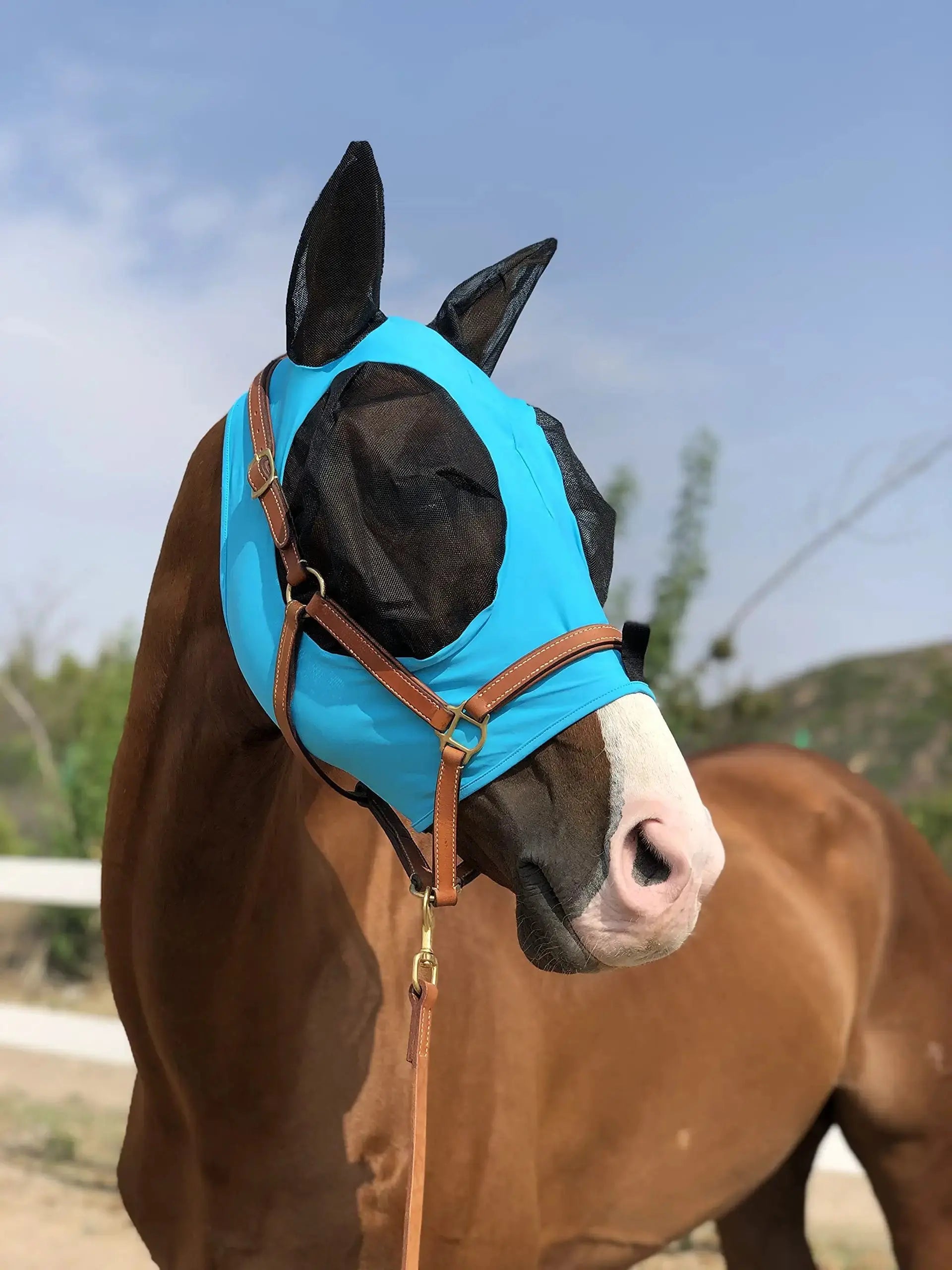 Horse Fly Mask Super Comfort Horse Fly Mask Elasticity Fly Mask with Ears We Only Make Products that Horses Like… by TGW RIDING