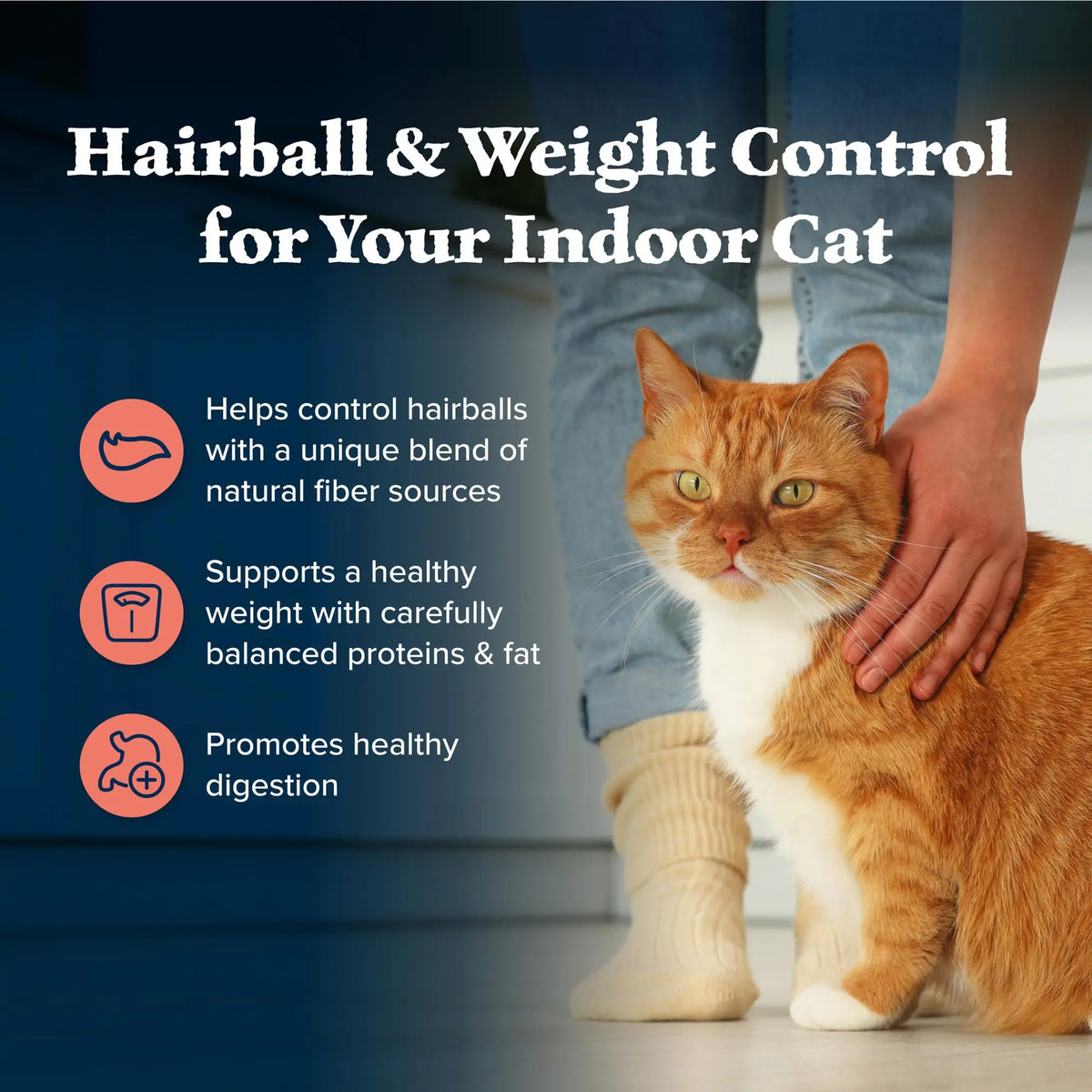 Blue Buffalo Wilderness High Protein, Natural Adult Indoor Hairball & Weight Control Dry Cat Food Blue Buffalo