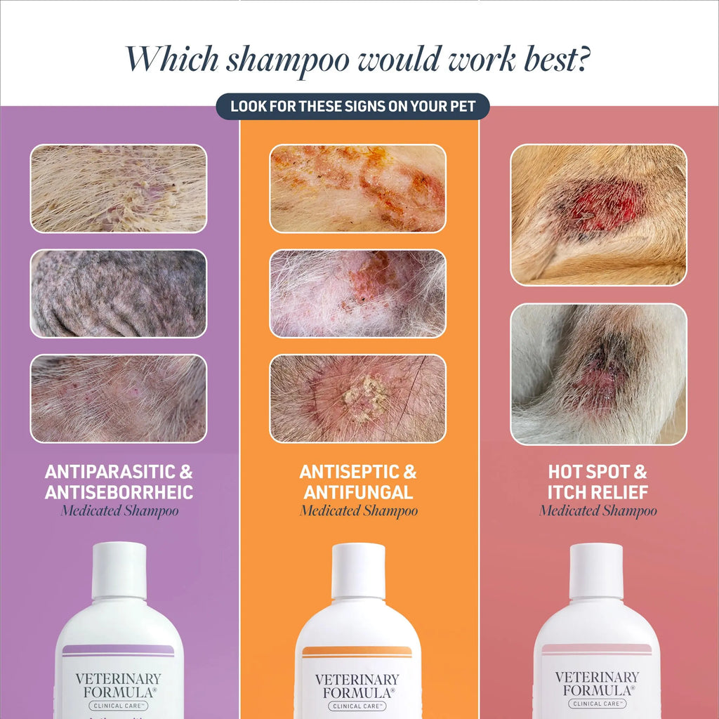 Veterinary Formula Clinical Care Antiseptic & Antifungal Spray - FurrBaby Necessities
