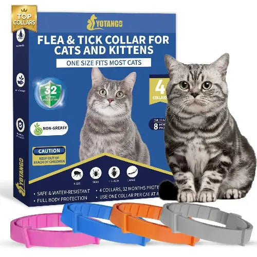4 Pack Flea Collar for Cats YK by YOTANGO