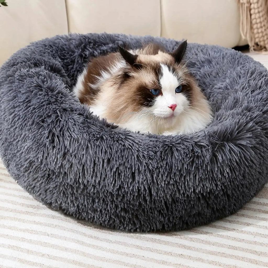 Dog Bed Cat Bed Cat Cushion Dount Bed by Finenohoory