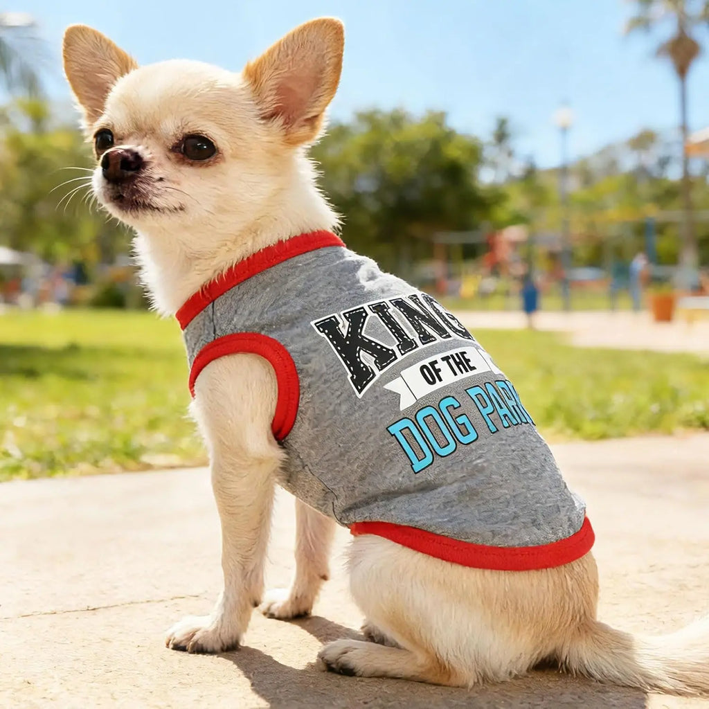 Small Dog Shirts — Cute Puppy Clothes for Chihuahua, Yorkie & Small Breeds | 4-Pack Wags & Whiskers Pet Supply