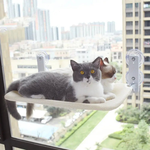 Cat Suction Cup Window Glass Hammock Pet Cat Pets Products Sochenda