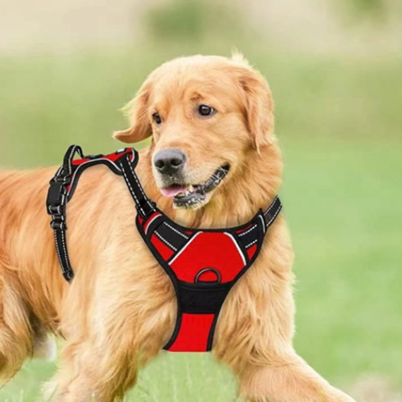 Vest-Style Reflective and Breathable Chest Strap Leash Pet Zen
