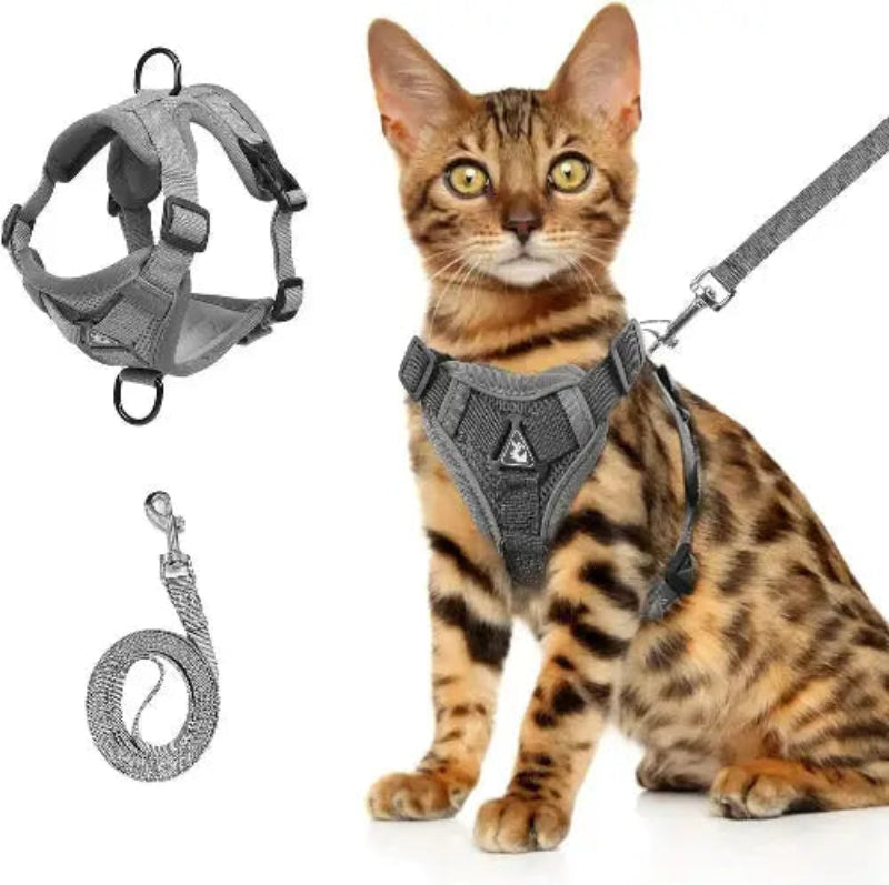 Breathable Soft Mesh Cat Harness With Leash And Adjustable Escape Proof Vest For All Cats - FurrBaby Necessities