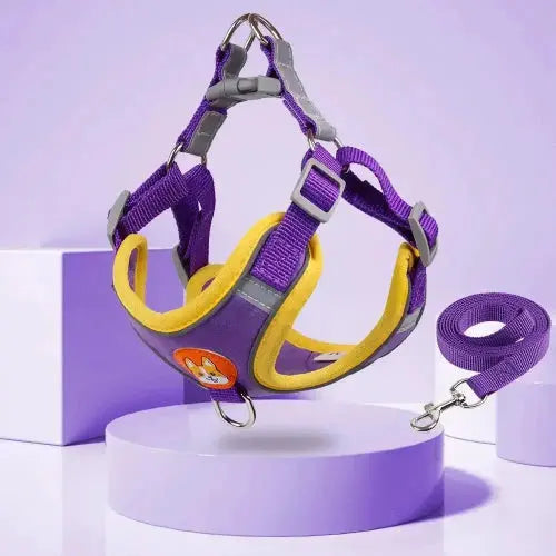 New Dog Leash And Harness Set Pet Dog Harness And Leash Set Adjustable Puppy Cat Harness Vest Reflective Walking No Pull Lead Leash For Small Dogs Chihuahua by Sell My Stuff
