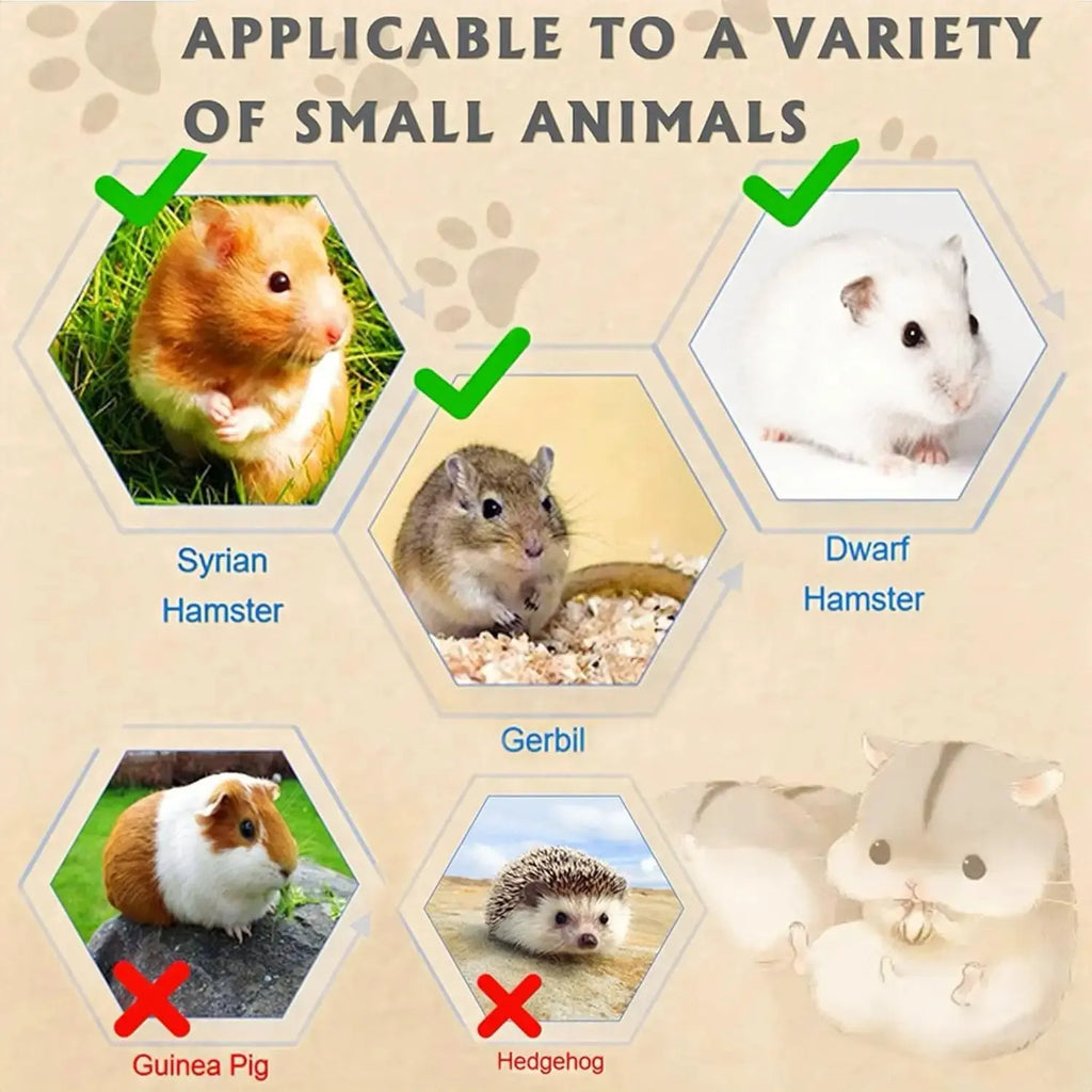 Acrylic Hamster Cage 2 Tier Habitat with Accessories Transparent Small Pets by Wags & Whiskers Pet Supply