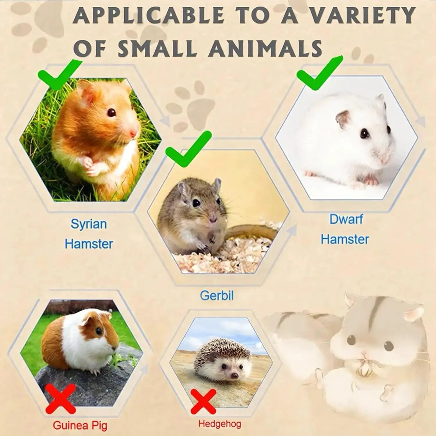 Acrylic Hamster Cage 2 Tier Habitat with Accessories Transparent Small Pets by Wags & Whiskers Pet Supply