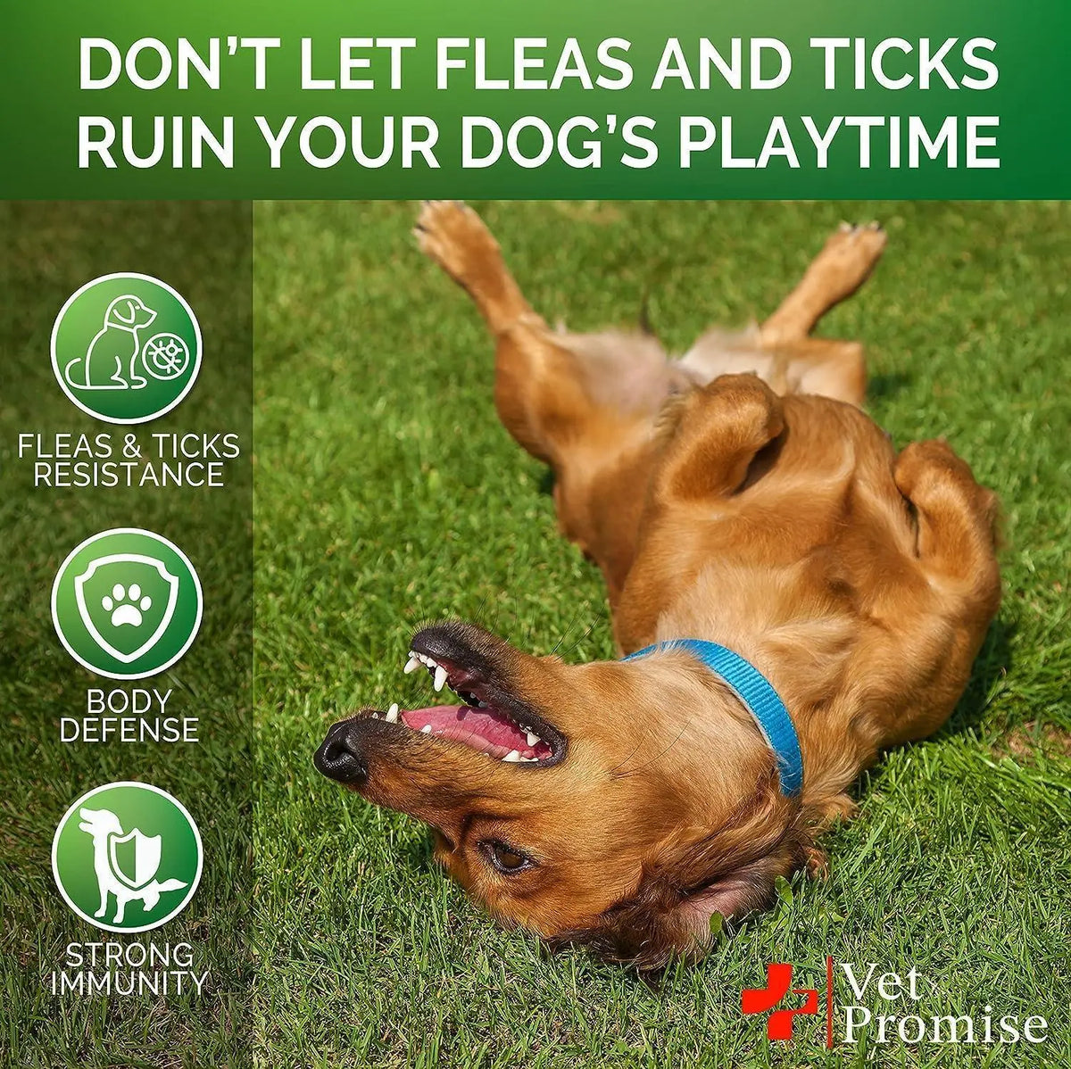 Flea & Tick Chews for Dogs 2-Pack Zamzamas