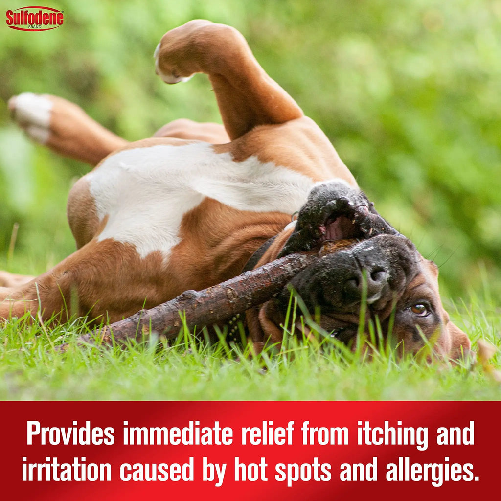 Sulfodene Hot Spot & Itch Relief Medicated Spray for Dog 8oz by Sulfodene