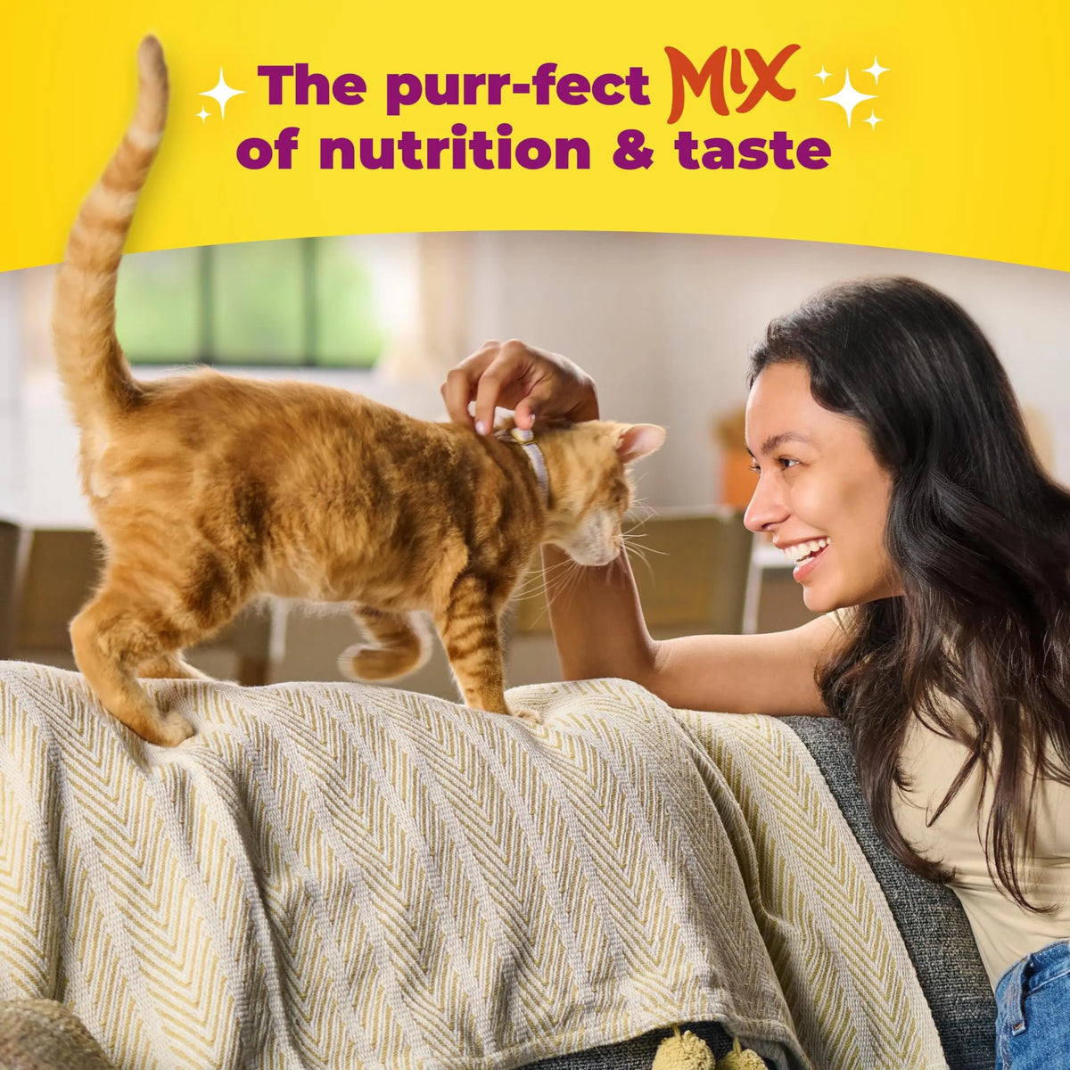 Meow Mix Tender Centers Dry Cat Food