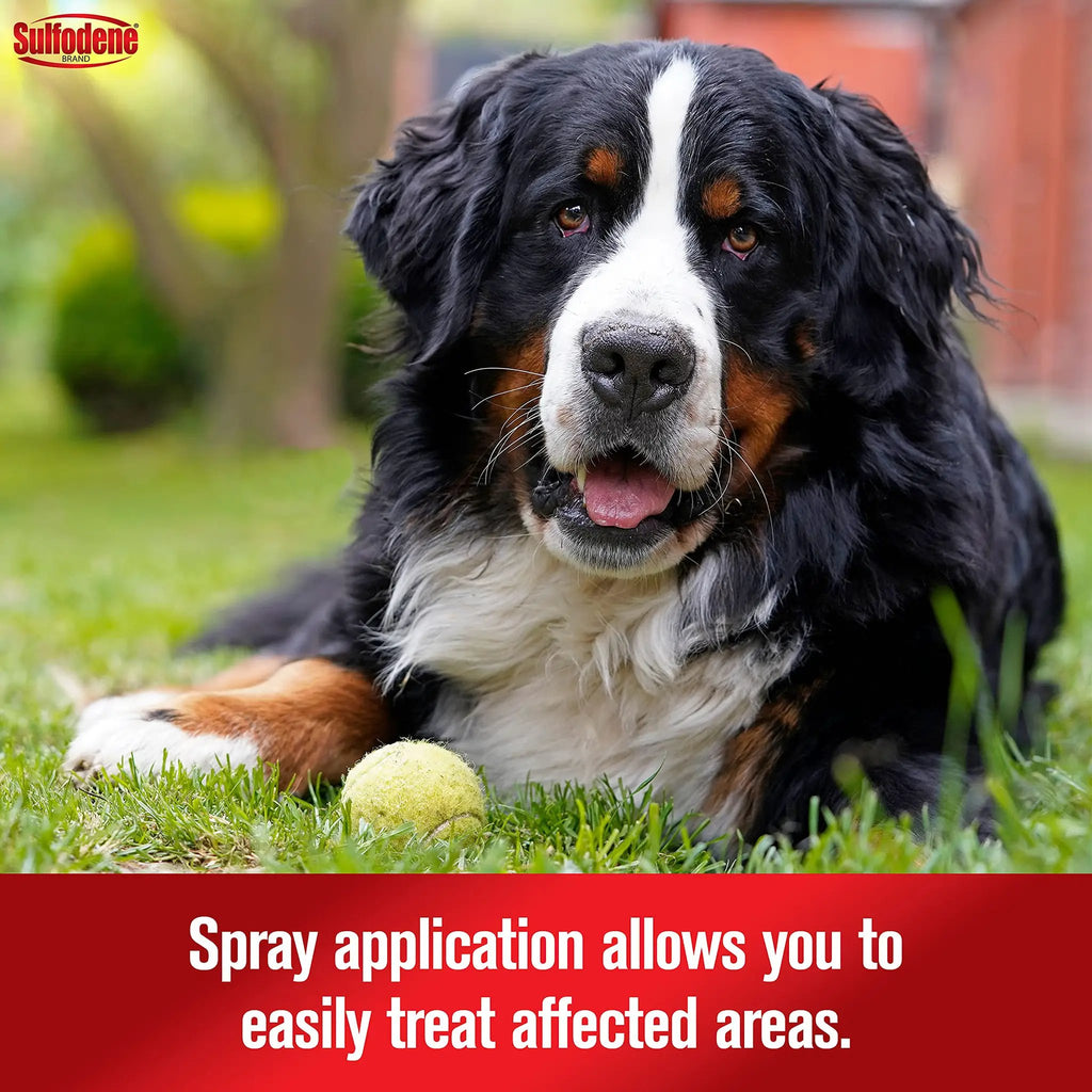 Sulfodene Hot Spot & Itch Relief Medicated Spray for Dog 8oz by Sulfodene