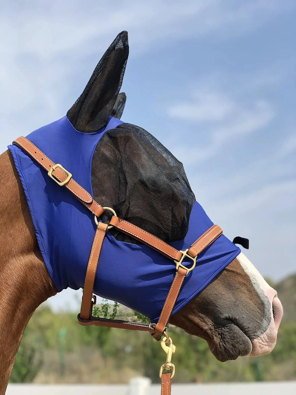 Horse Fly Mask Super Comfort Horse Fly Mask Elasticity Fly Mask with Ears We Only Make Products that Horses Like… by TGW RIDING
