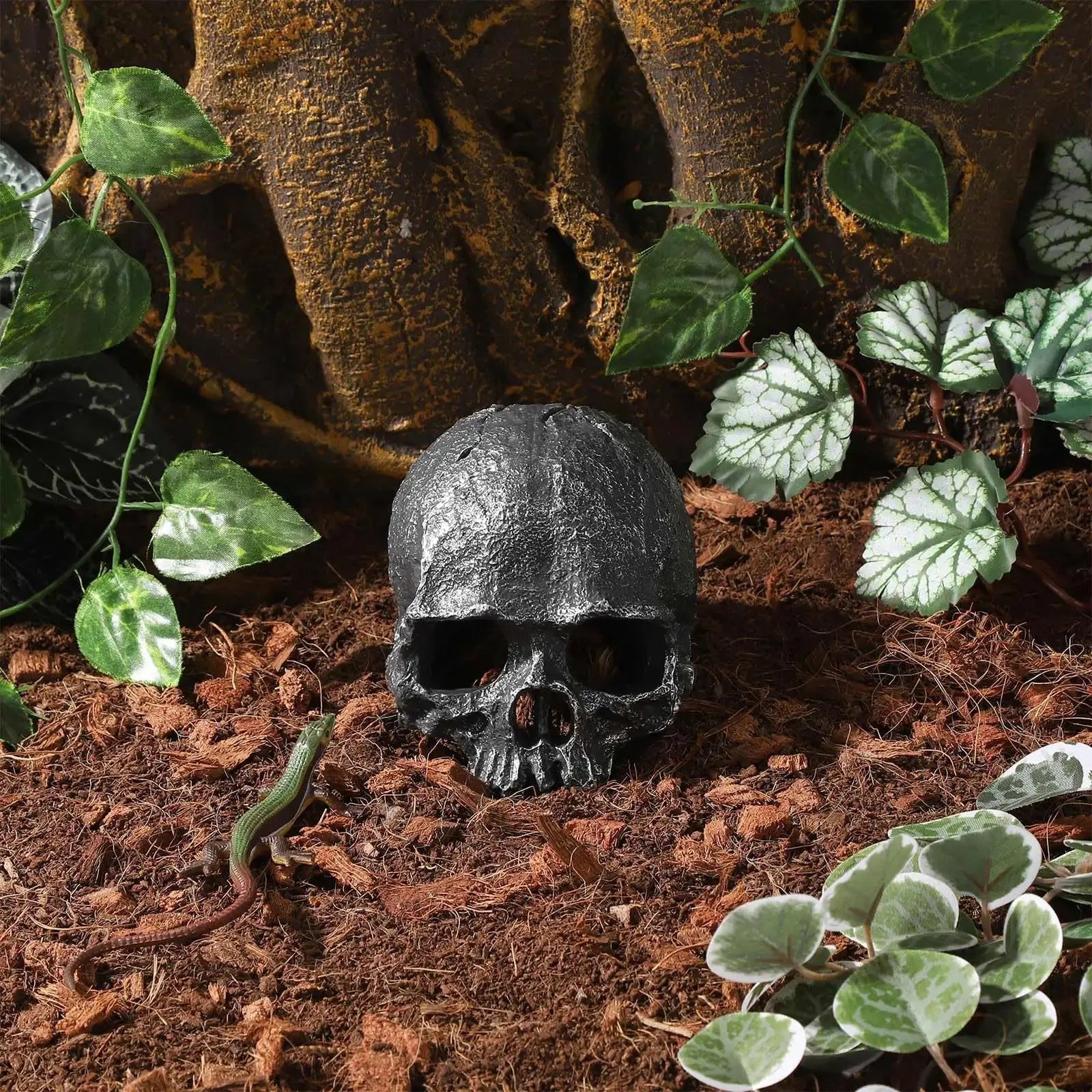 TkoYuHm Resin Reptile Hideout for Tank Realistic Skull Decor for Terrarium White Decorative Skeleton Head Hides and Caves for Fish Ball Python Axolotl Tarantula by TkoYuHm