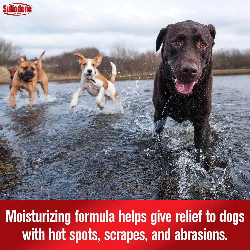 Sulfodene Hot Spot & Itch Relief Medicated Spray for Dog 8oz by Sulfodene