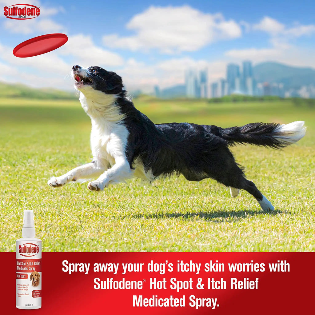 Sulfodene Hot Spot & Itch Relief Medicated Spray for Dog 8oz by Sulfodene