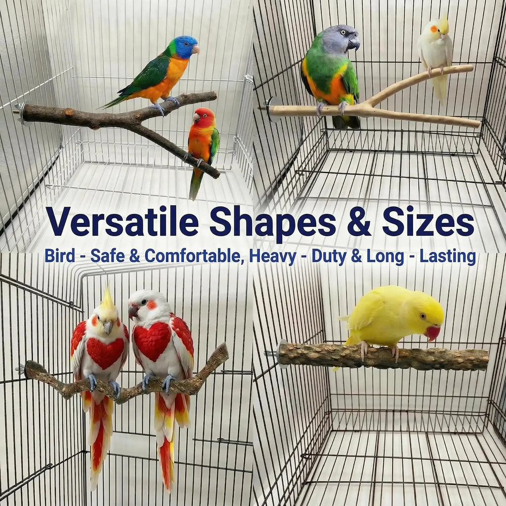 Acvxghe 8PCS Bird Perches for Cage, Natural Wood Stands for Small Parrots by Acvxghe