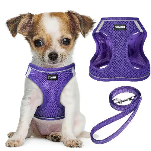 No Pull Dog Puppy Harness and Leash Set Reflective Mesh Vest XX-Small by YIMEIS