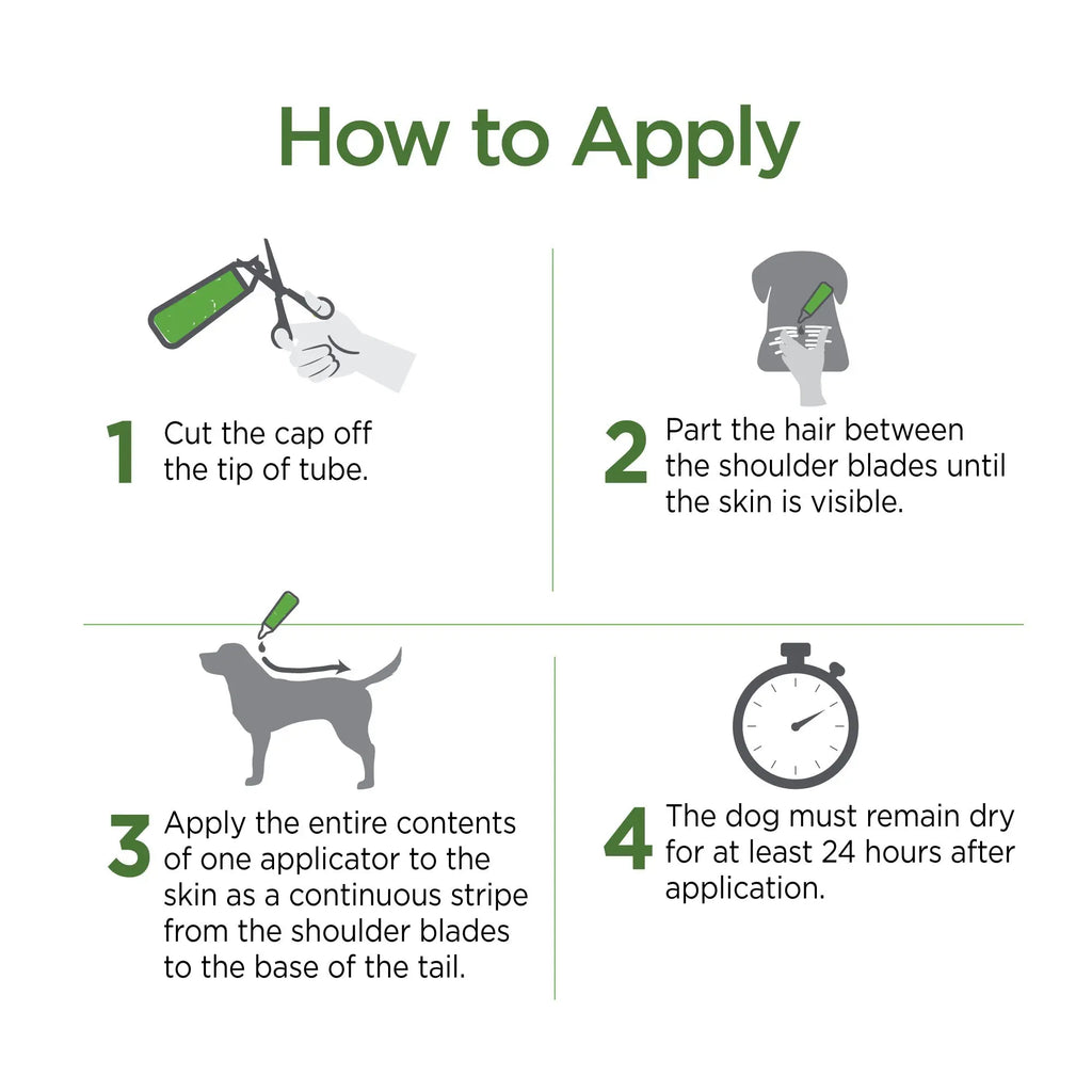 Vetality&trade; Avantect II for Dogs GreaterGood