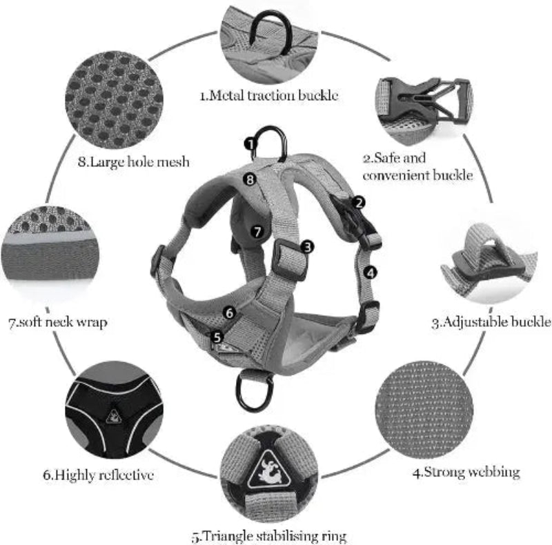 Breathable Soft Mesh Cat Harness With Leash And Adjustable Escape Proof Vest For All Cats - FurrBaby Necessities