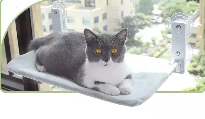 Cat Suction Cup Window Glass Hammock Pet Cat Pets Products Sochenda
