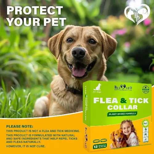 Flea & Tick Collar for Dogs 6-Month Protection Essential Oil 2 Count by Zamzamas