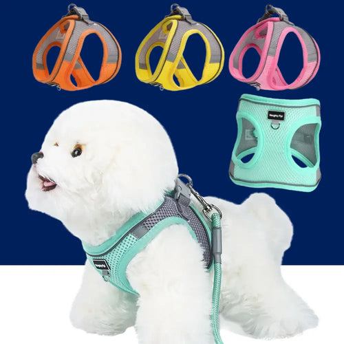 Adjustable Dog Harness & Leash Set for Small Dogs – Comfortable & Safe Walking Gear WTN Essentials