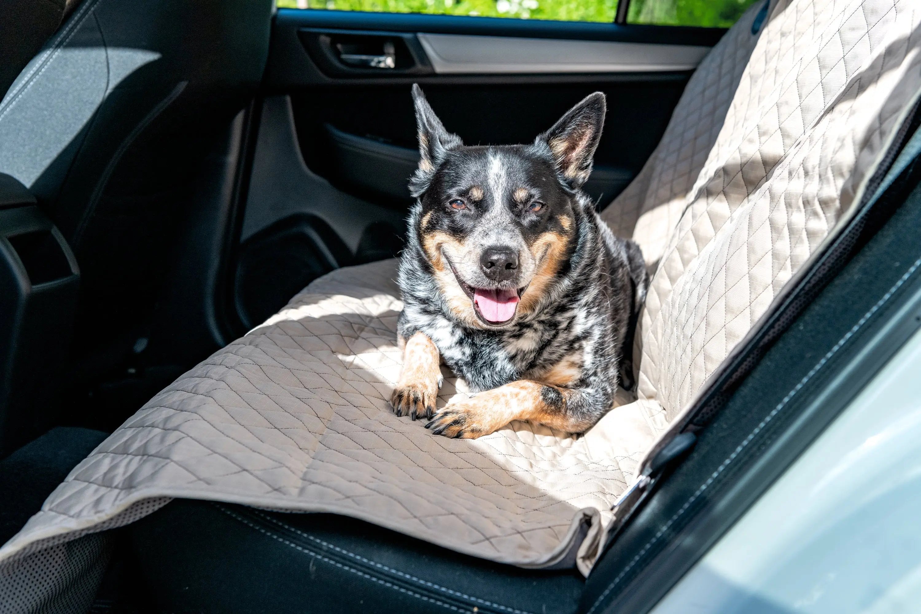 TuffutLuxx® Vehicle Protectors for Travel HuggleHounds